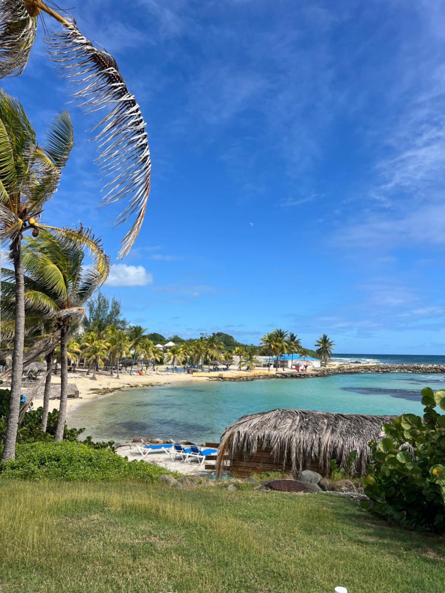 Studio Bord De Mer Avec Piscine - Le Manganao, Saint-Francois Экстерьер фото